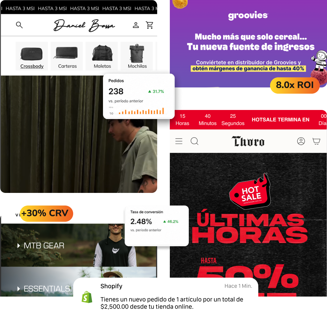 Resultados reales de e-commerce: pedidos, ROI y tasa de conversión
